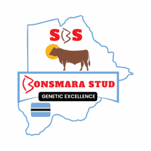 Sandveld Beefstation | SBS | Bonsmara Cattle Botswana