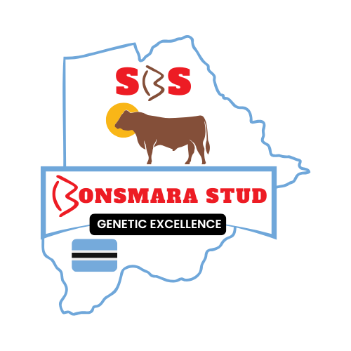 Sandveld Beefstation | SBS | Bonsmara Cattle Botswana